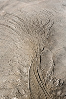 streamtrees VII