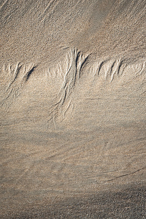 fragile flow