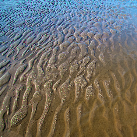 waterlines I