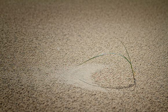 sandwrighting 4