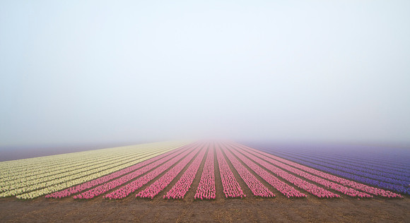 misty colors
