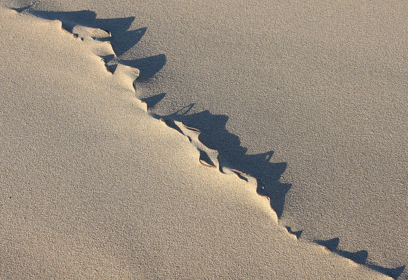 natures art IV