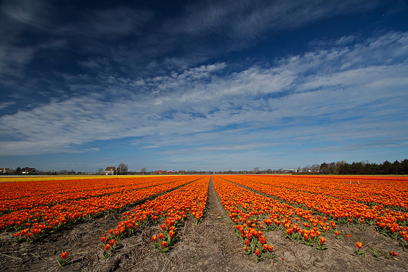 LENTE 2