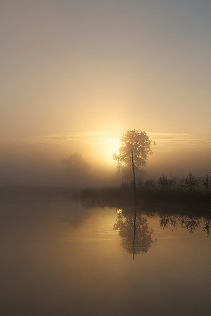 Hatertse vennen  4