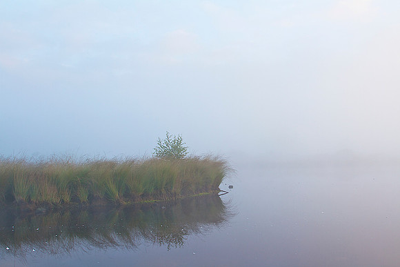 Hatertse vennen  6