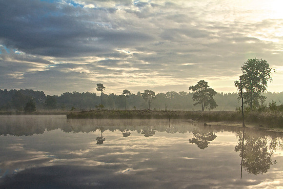 Hatertse vennen  9