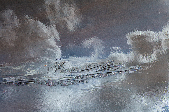 reflected