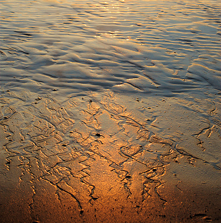 terugtrekkend water I