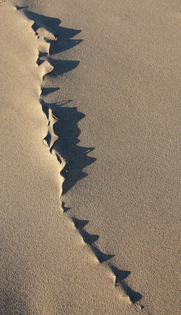 natures art II