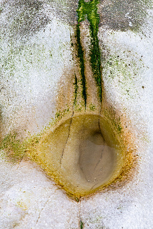 the hole