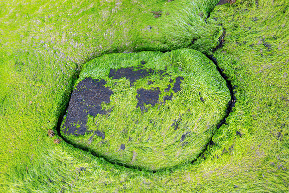 cracks in the green II