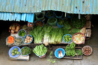 Vietnam 2008