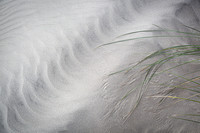 traces of wind