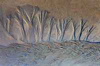 stream trees III