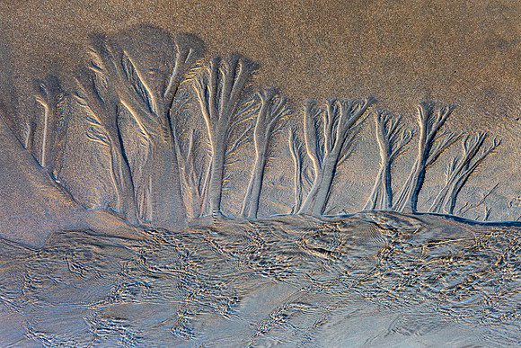 stream trees III