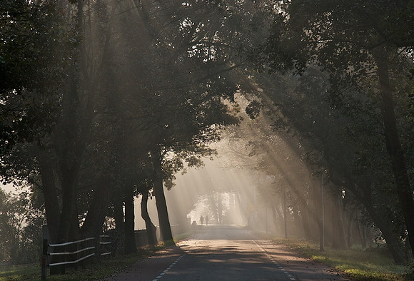 sunrays