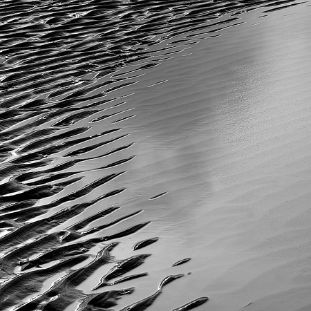 waterlines I
