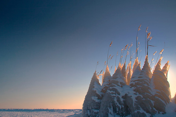 winterwonderland 3