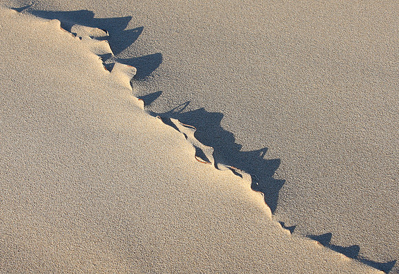 nature's art IV