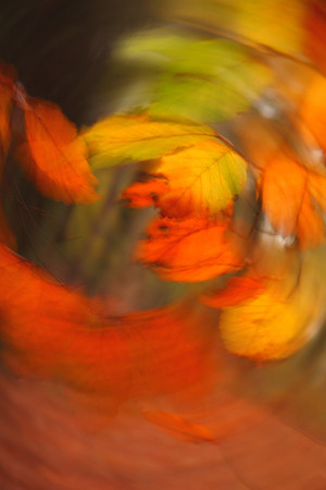 impressions I